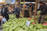 ۳۱ تیم بازرسی ویژه شب یلدا در کرمانشاه فعال شدند