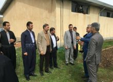 مشکل آبی شهر جوانرود به‌صورت ویژه بررسی شد