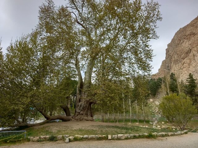 هشت پرونده میراث‌های طبیعی کرمانشاه در نوبت ثبت ملی