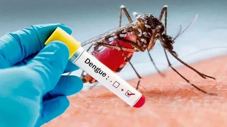 راهکار مقابله با تب دنگی