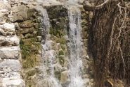بازدید کارشناسان مرکز جهاد کشاورزی ماکوان از باغات و تأسیسات آبی دره سهور