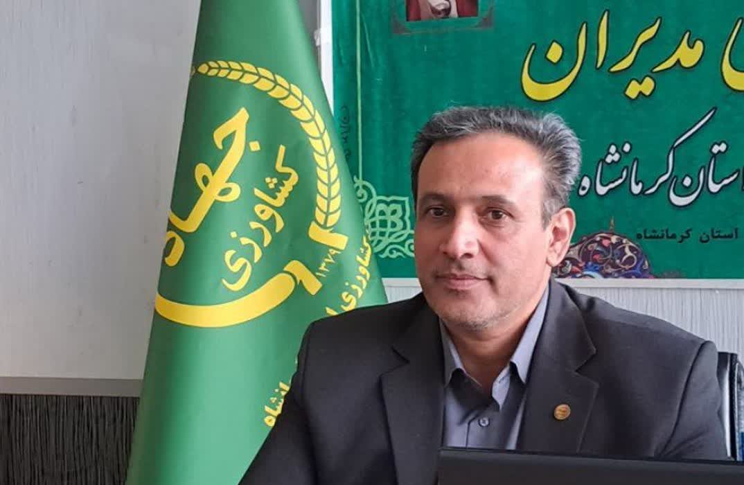 بیش از هزار تن مرغ پیش تولید در قالب تولید قراردادی در کرمانشاه عرضه خواهد شد