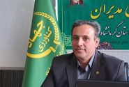 بیش از هزار تن مرغ پیش تولید در قالب تولید قراردادی در کرمانشاه عرضه خواهد شد
