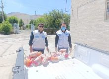 کشف و امحای گوشت مرغ غیربهداشتی در شهرستان سنقر و کلیایی