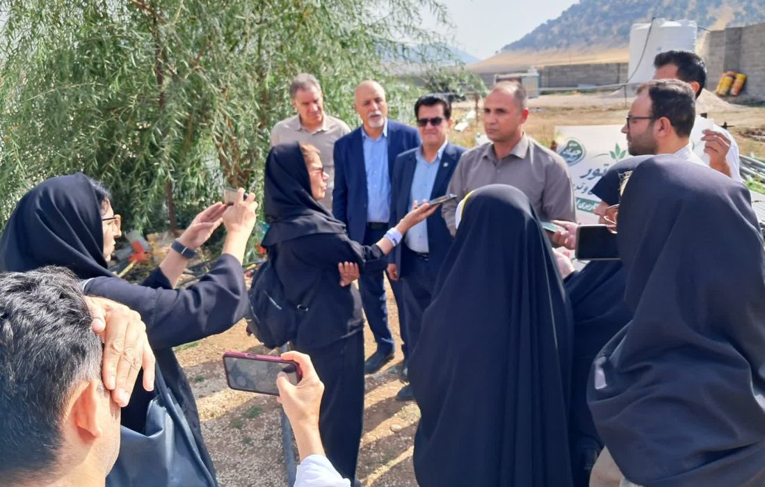 بازدید خبرنگاران از گلخانه هیدروپونیک گل رز شرفی‌پور در اسلام‌آبادغرب