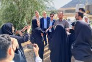بازدید خبرنگاران از گلخانه هیدروپونیک گل رز شرفی‌پور در اسلام‌آبادغرب